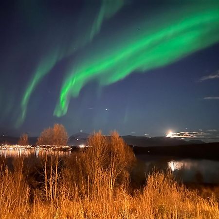 Vila Aurora North Tromsø Exteriér fotografie