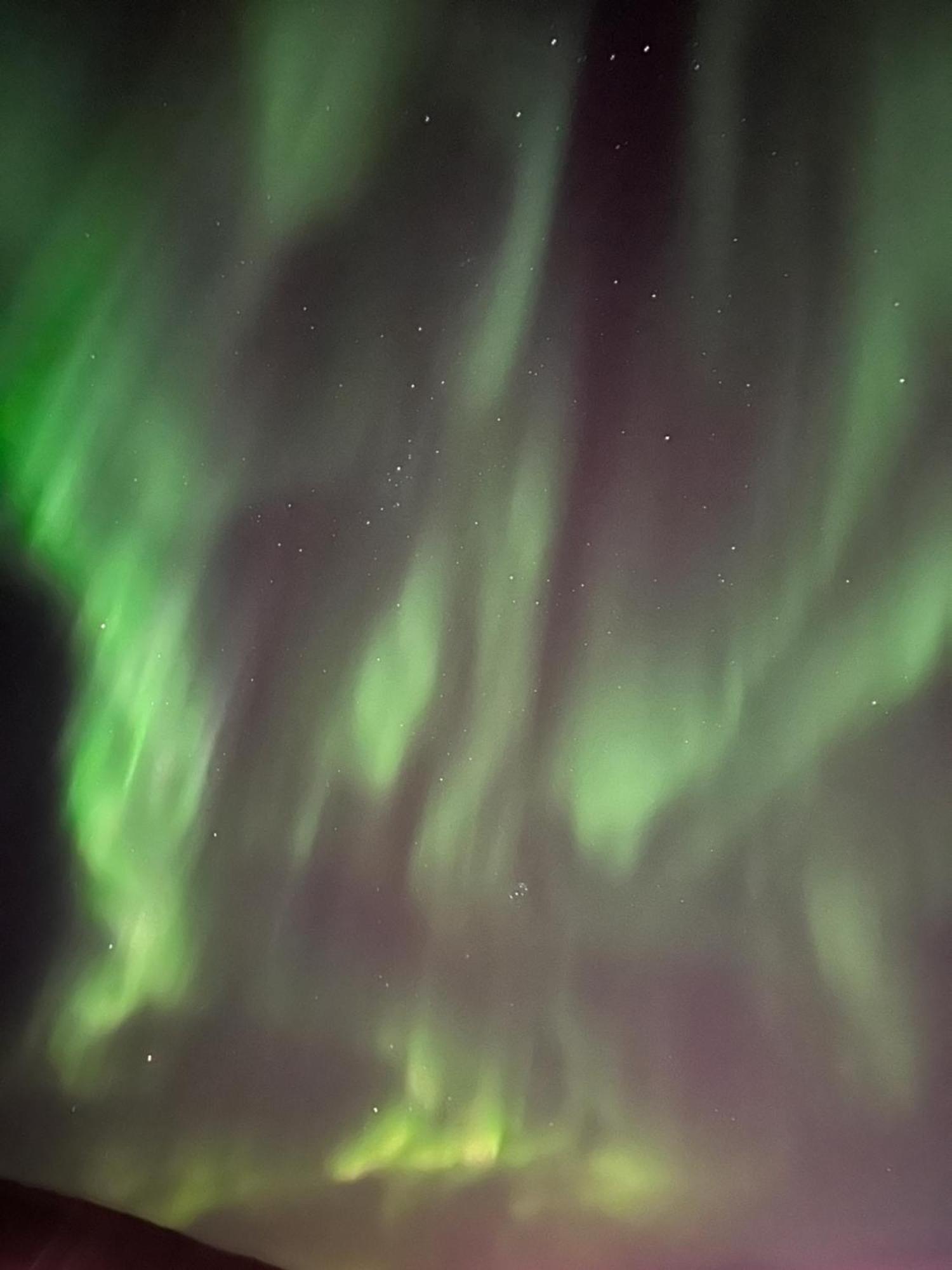 Vila Aurora North Tromsø Exteriér fotografie